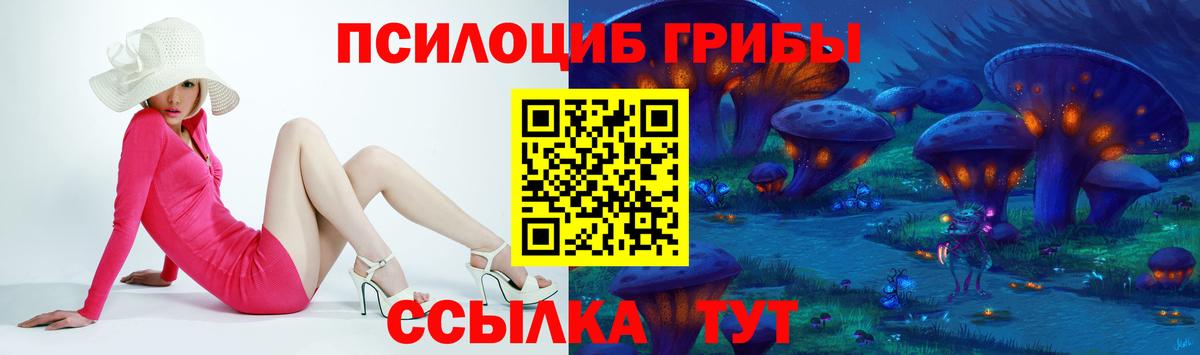 Аксай  закладка  Вход с VPN  Псилоцибиновые грибы мицелий 